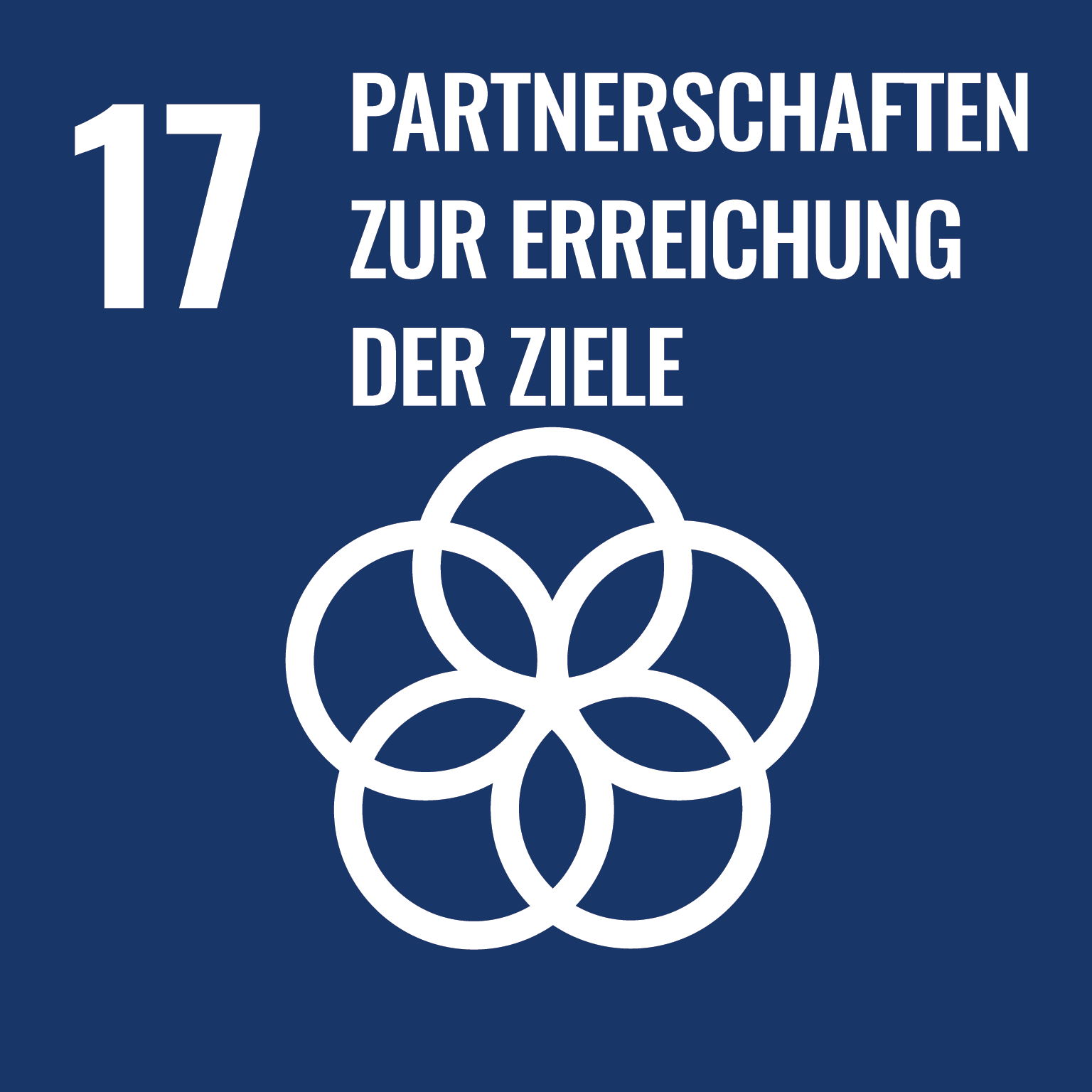 BNE - Partnerschaften zur Erreichen der Ziele